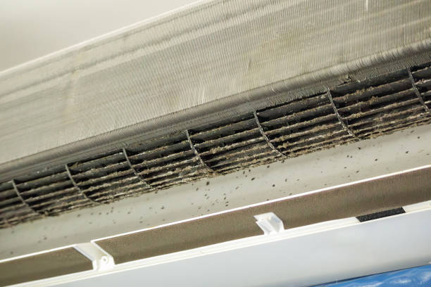 Best Dryer Vent Cleaning Services  in Hidden Valley Lake, CA